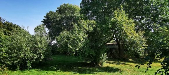 9-salle Maison à Demmin, Germany No. 152771 11