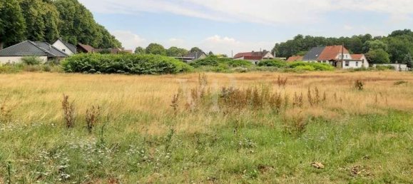 43123m² Land in Ludwigslust-Parchim, Germany No. 149431 3
