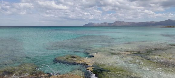 Земельный участок в Муро, Испания № 188932 14