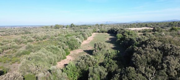 Земельный участок в Муро, Испания № 188932 2