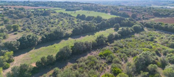 Земельный участок в Муро, Испания № 188932 4