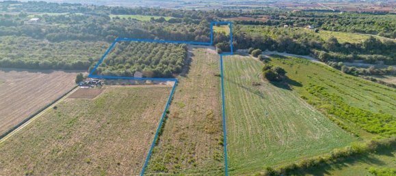 Земельный участок в Муро, Испания № 188932 10