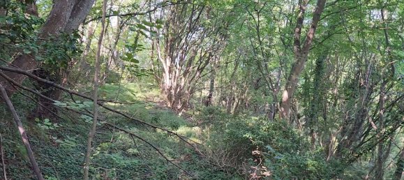 Земельный участок в Лаванья, Италия № 358309 4