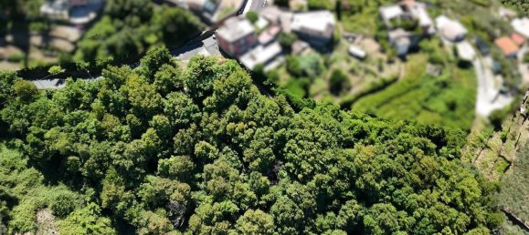 Земельный участок в Лаванья, Италия № 358309 8