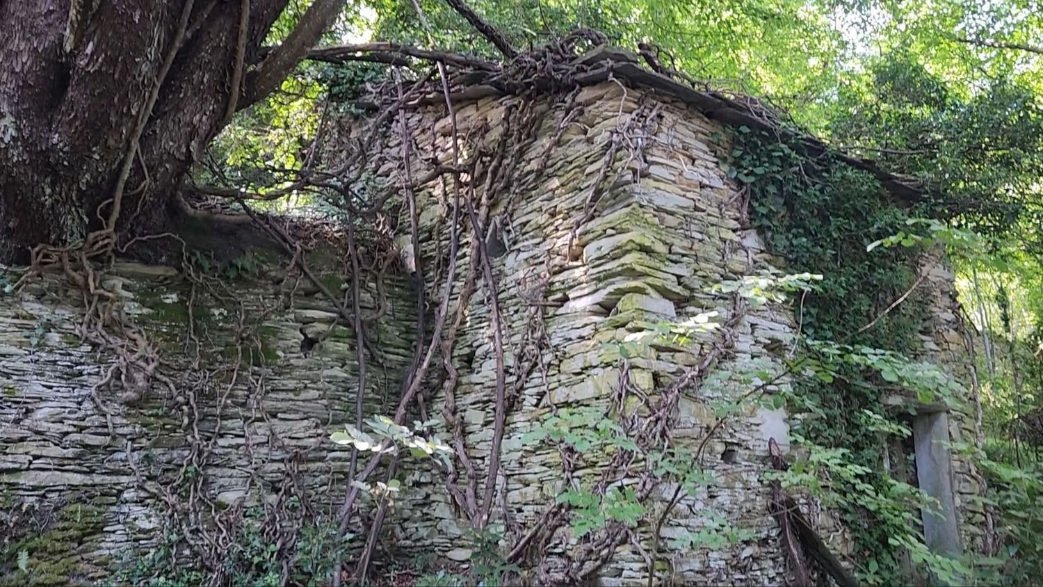 Земельный участок в Лаванья, Италия № 358309