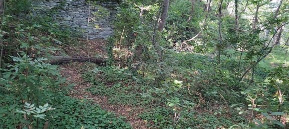 Земельный участок в Лаванья, Италия № 358309 2