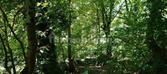 4 Schlafzimmer Haus in Torricella in Sabina, Italy, Nr. 147442 18