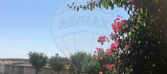 7 bedrooms House in Serpa, Portugal No. 38977 16