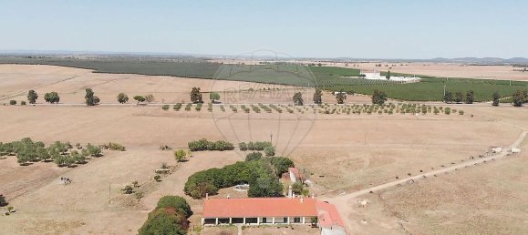 7 bedrooms House in Serpa, Portugal No. 38977 5