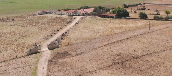 7 bedrooms House in Serpa, Portugal No. 38977 14