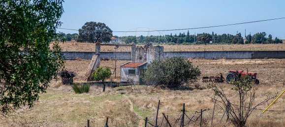 7 bedrooms House in Serpa, Portugal No. 38977 29