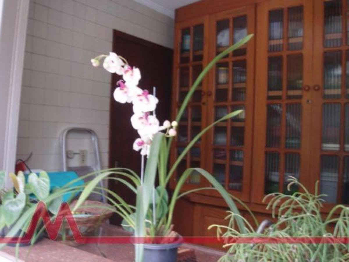 4 غرف نوم منزل في Sao Paulo, Brazil رقم 587771