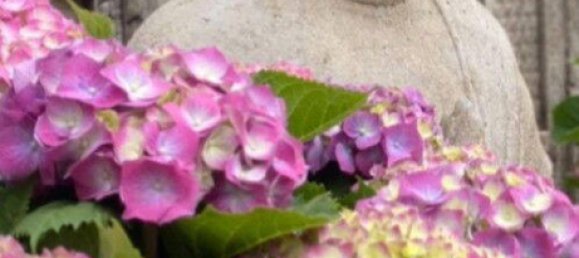 Apartamento T1 em Dusseldorf, Germany N.º 362501 6