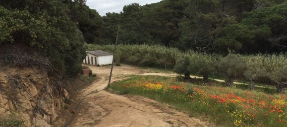 8 Schlafzimmer Haus in Sant Pol de Mar, Spain, Nr. 65644 32