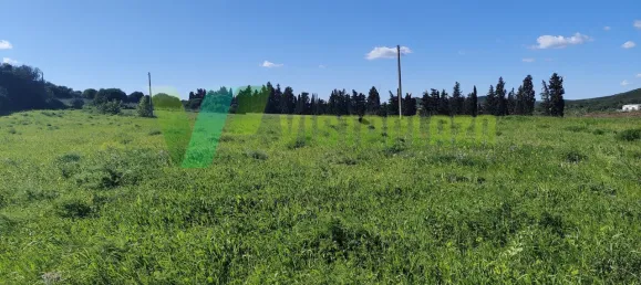 Земельный участок 9200м² в Лагуш, Португалия № 64735 2