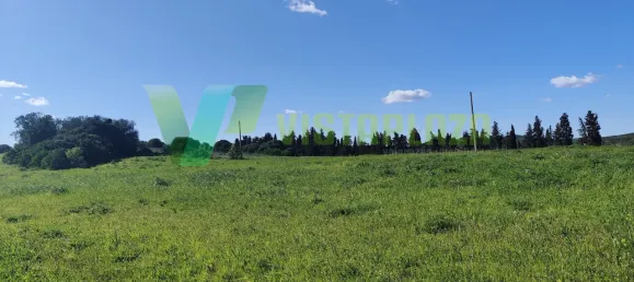 Земельный участок 9200м² в Лагуш, Португалия № 64735 4