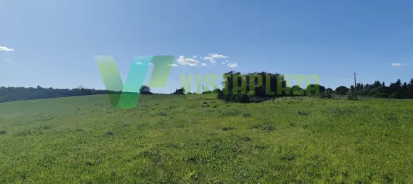 Земельный участок 9200м² в Лагуш, Португалия № 64735 5