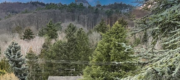 6 غرف نوم تاون هاوس في Rhineland-Palatinate, Germany رقم 148063 6