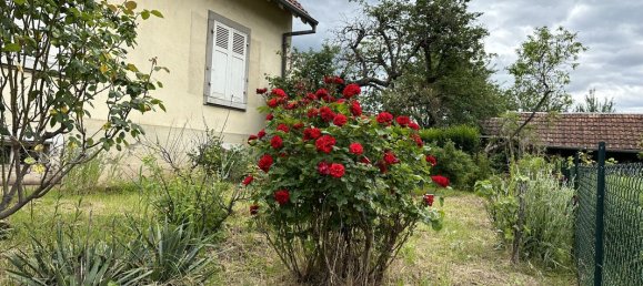 3 bedrooms House in Wihr-au-Val, France No. 71901 8