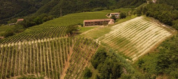 6 bedrooms House in Cassinasco, Italy No. 118577 18