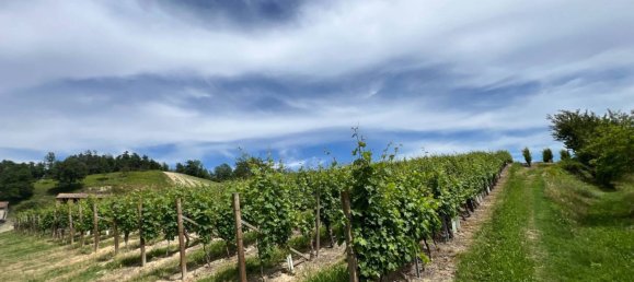 6 bedrooms House in Cassinasco, Italy No. 118577 42