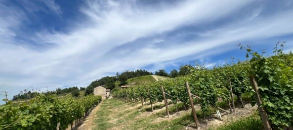 6 bedrooms House in Cassinasco, Italy No. 118577 41