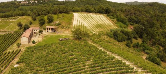 6 bedrooms House in Cassinasco, Italy No. 118577 11