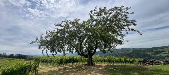 6 bedrooms House in Cassinasco, Italy No. 118577 40