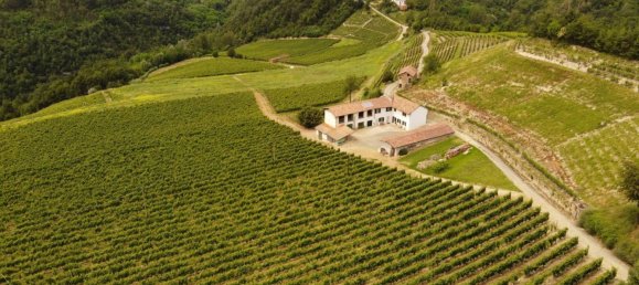 6 bedrooms House in Cassinasco, Italy No. 118577 14