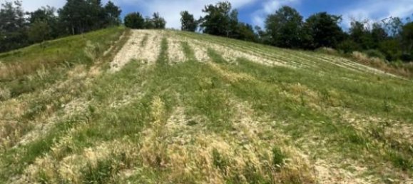 6 bedrooms House in Cassinasco, Italy No. 118577 24