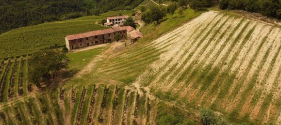 6 bedrooms House in Cassinasco, Italy No. 118577 16