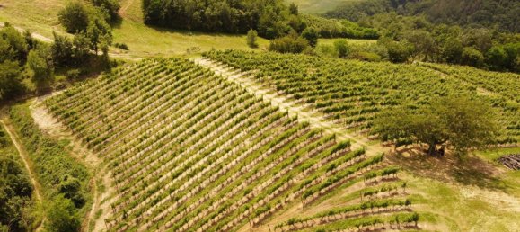 6 bedrooms House in Cassinasco, Italy No. 118577 6