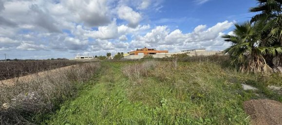 Grundstück in Melissano, Italy 2979m², Nr. 72875 3