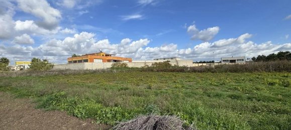 Grundstück in Melissano, Italy 2979m², Nr. 72875 5