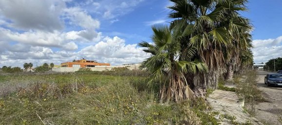 Grundstück in Melissano, Italy 2979m², Nr. 72875 10