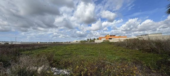 Grundstück in Melissano, Italy 2979m², Nr. 72875 2