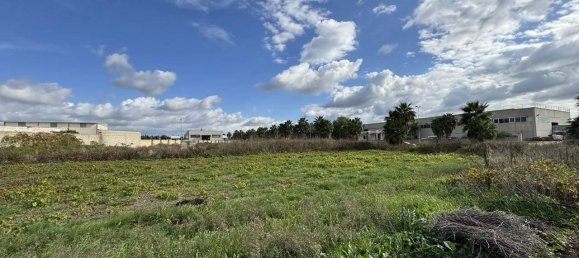 Grundstück in Melissano, Italy 2979m², Nr. 72875 7