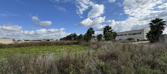 Grundstück in Melissano, Italy 2979m², Nr. 72875 4