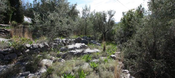 Land in Orba, Spain No. 284838 8