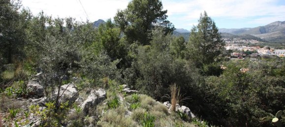 Land in Orba, Spain No. 284838 6
