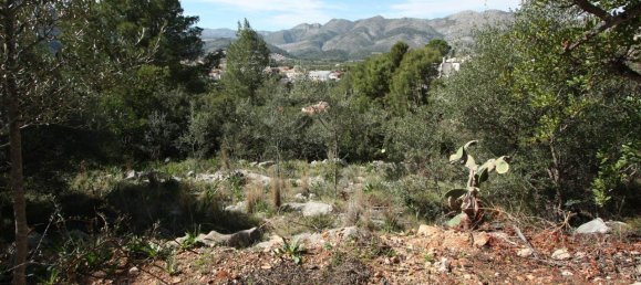 Land in Orba, Spain No. 284838 3