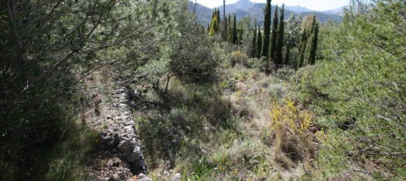 Land in Orba, Spain No. 284838 7