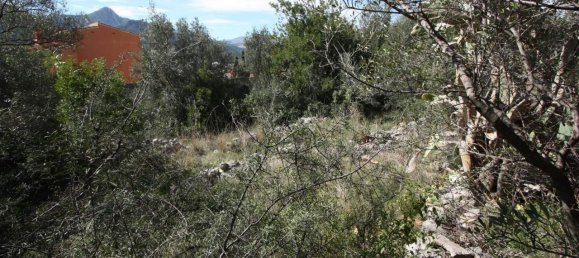 Land in Orba, Spain No. 284838 5