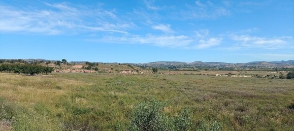 Grundstück in Mula, Spain 800000m², Nr. 163225 3