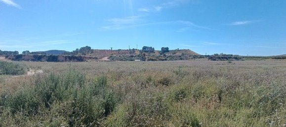 Grundstück in Mula, Spain 800000m², Nr. 163225 10