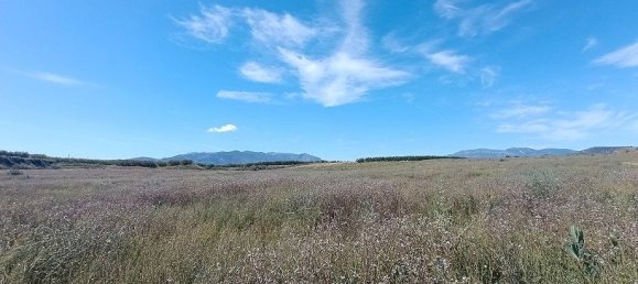 Grundstück in Mula, Spain 800000m², Nr. 163225 9