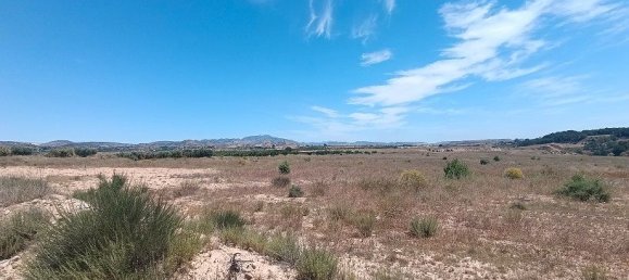 Grundstück in Mula, Spain 800000m², Nr. 163225 24