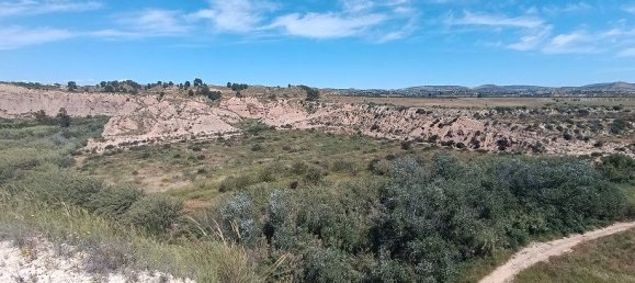 Grundstück in Mula, Spain 800000m², Nr. 163225 19