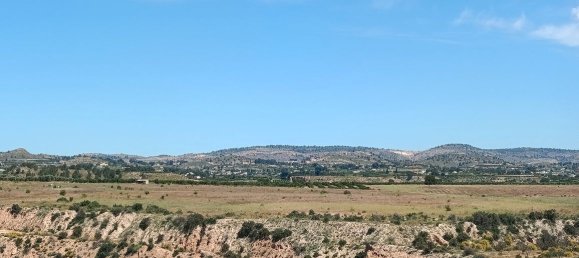 Grundstück in Mula, Spain 800000m², Nr. 163225 17