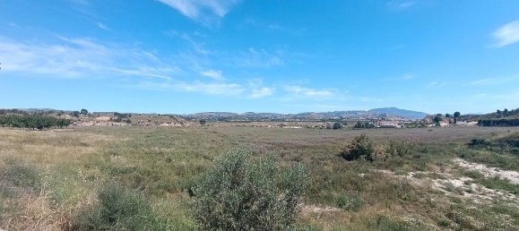 Grundstück in Mula, Spain 800000m², Nr. 163225 5